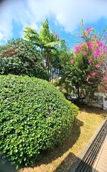 La Quinta Park (D19), Terrace #525450141
